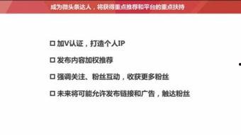 头条点击率17.74%,17.74%点击率背后的秘密