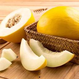 2024小蜜瓜们的老师,跟随老师足迹，探索知识海洋