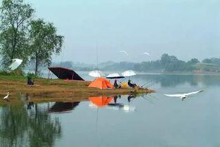 九华网红钓鱼地点,探寻隐匿于山水间的垂钓天堂