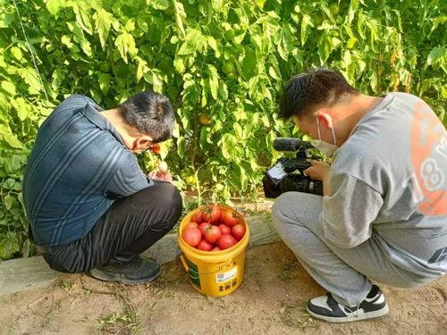 吃瓜最新事件常德新闻