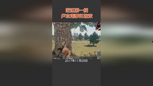 龙港吃瓜事件始末视频,一场网络热议的始末揭秘